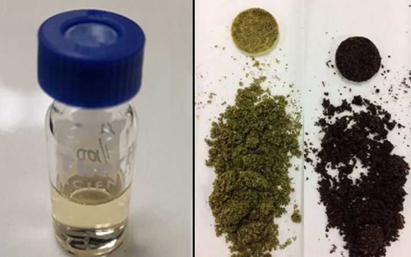 Le cannabis : une toute nouvelle biomasse étudiée chez Innofibre