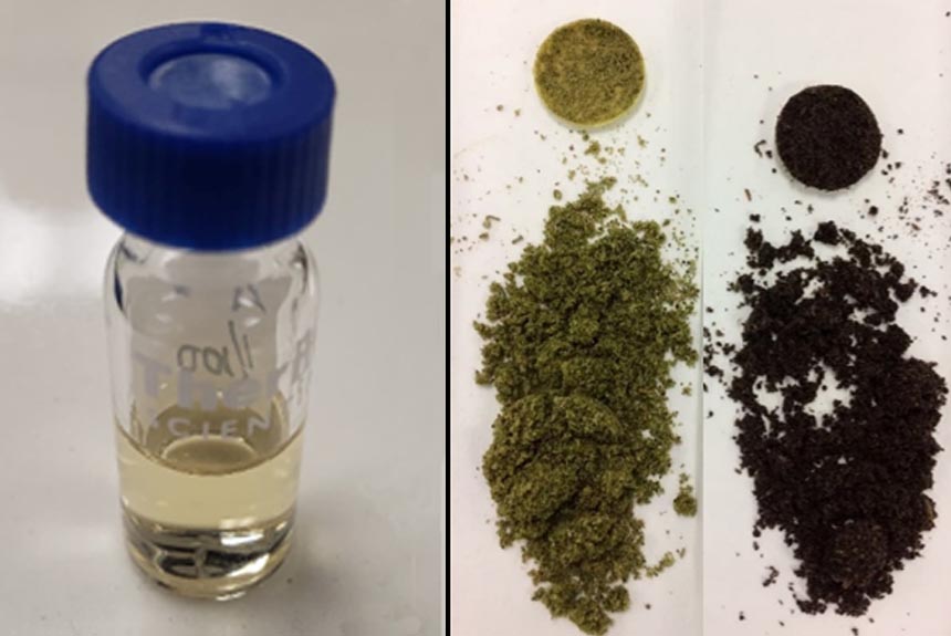 Le cannabis : une toute nouvelle biomasse étudiée chez Innofibre