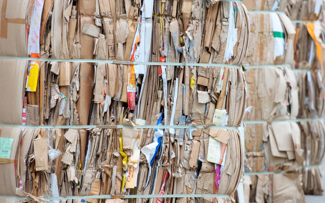 De la fabrication du papier journal à l’usage des cartons recyclés