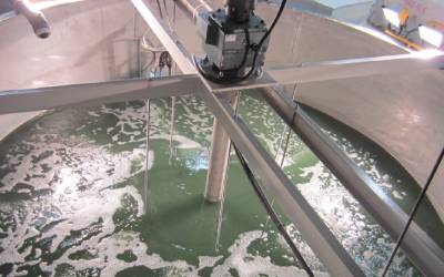 Les microalgues au secours des écosystèmes aquatiques