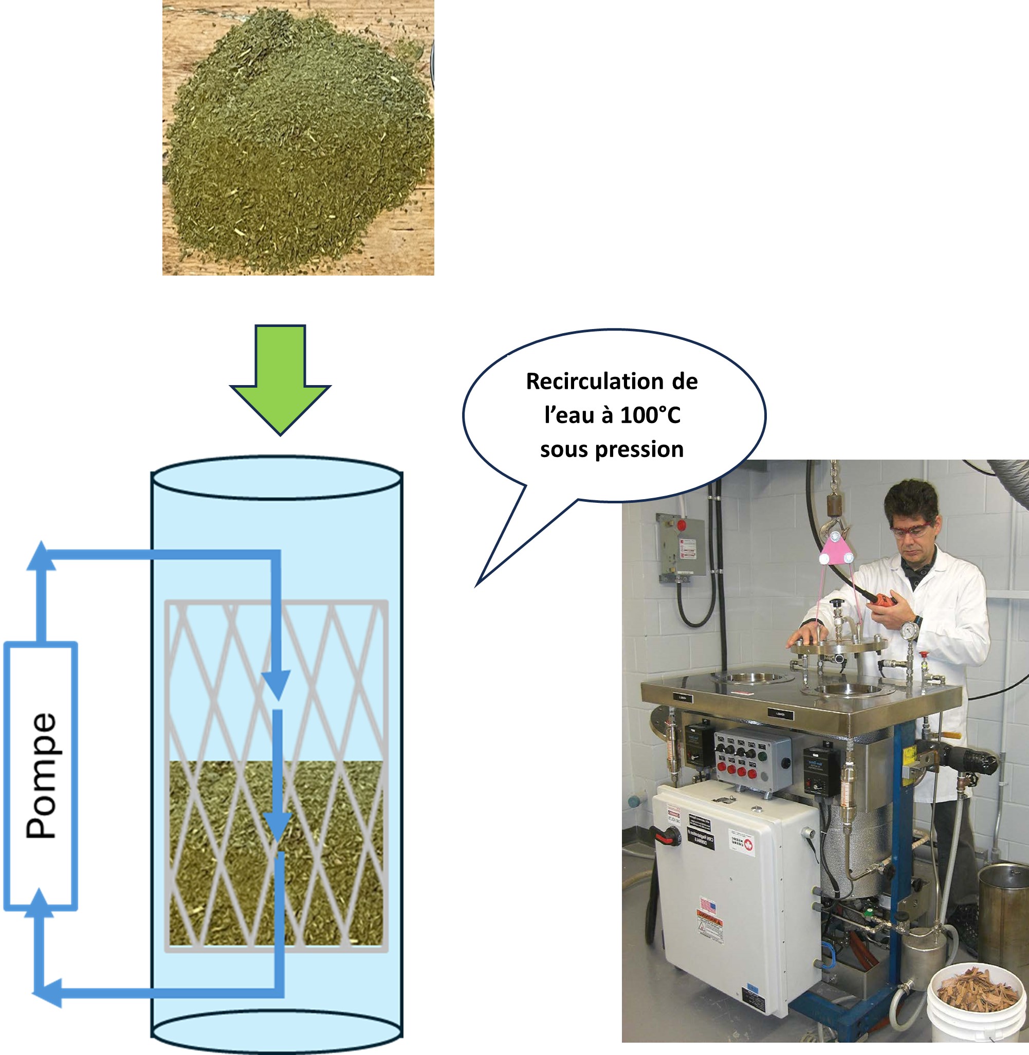 Extraction à l’eau du cèdre conditionné