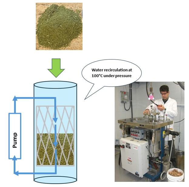 Water extraction of conditioned cedar