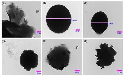 New stable waterborne amorphous polylactic nanocomposites