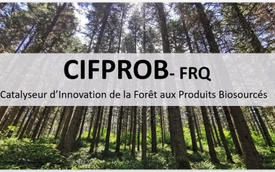 Forêt, climat et innovation : naissance du regroupement CIFPROB-FRQ