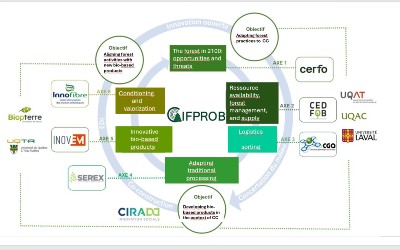 Catalyst for innovation from forest to bio-based products (CIFPROB-FRQ)